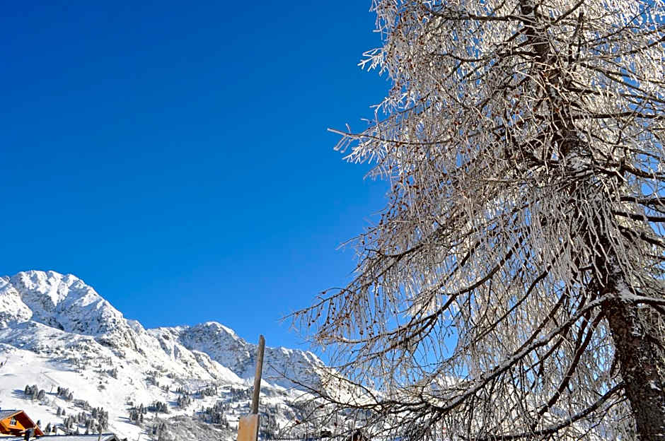 Hotel Tauernpasshöhe
