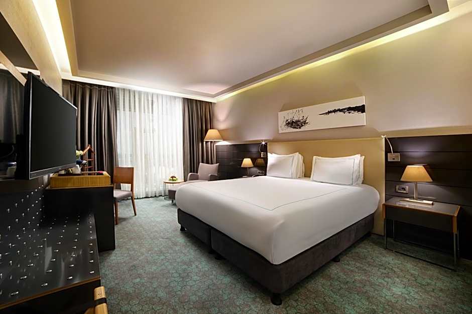 Photo 1 sur 7 de Superior 1 King Bed