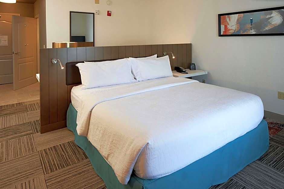 Photo 1 of 5 of 1 King Bed, Mobility Accessible, Roll in Shower