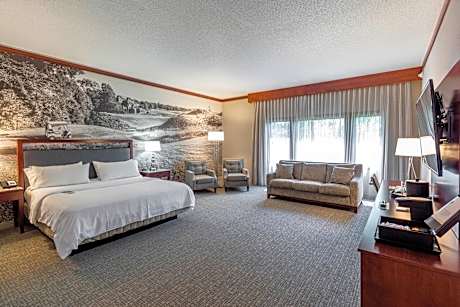 Executive Suite, 1 King