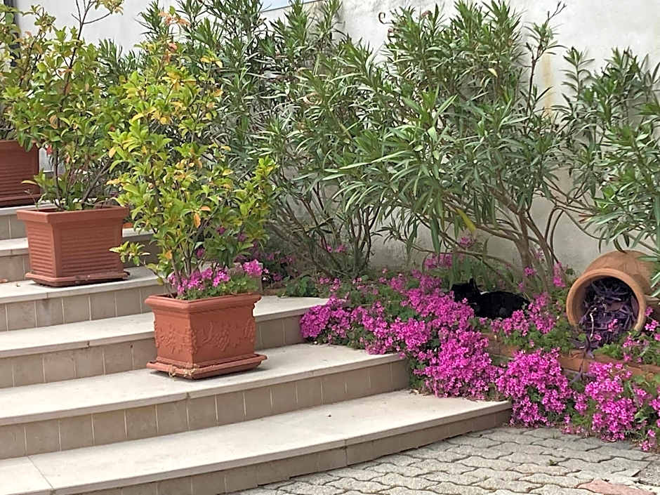 Albergo pensione Bianco