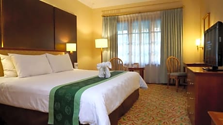 Deluxe Double Room with Pool View