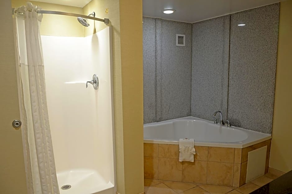 Comfort Suites Salem-Roanoke I-81