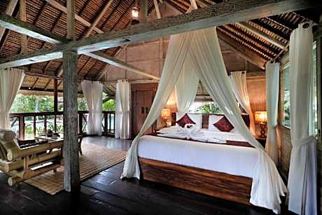 Suite Room with Jungle View