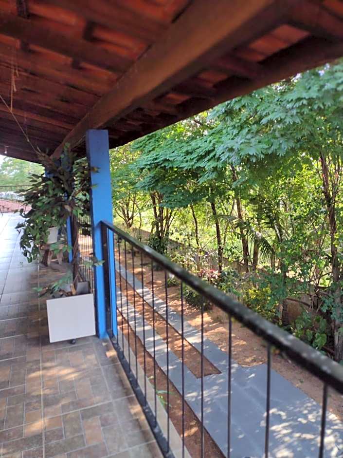 Suits - Canto do sabia