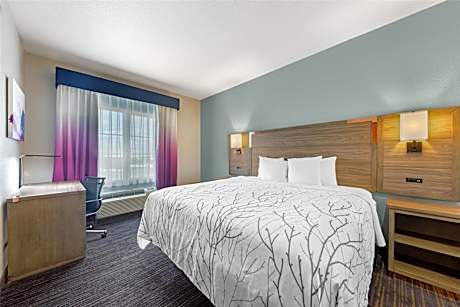 SUITE-1 KING BED,NSMK,LIVAREA,WORKDESK,MICRFG,COFMKR,HAIR,FULL BREAKFAST