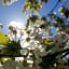Bed & Breakfast Casa Lisetta