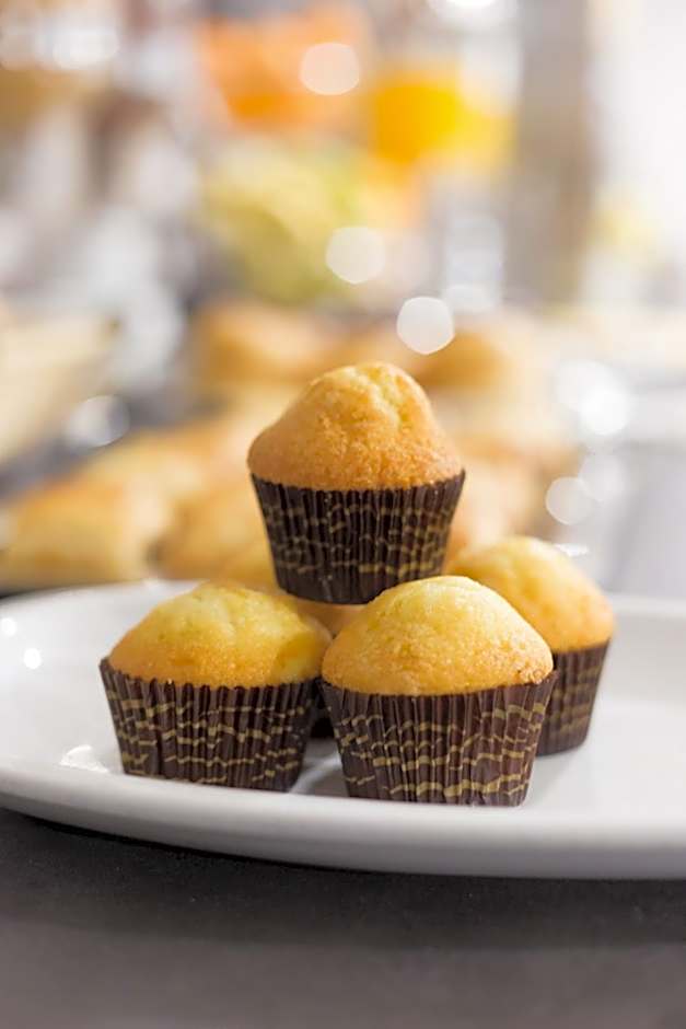 Sercotel Familia Conde