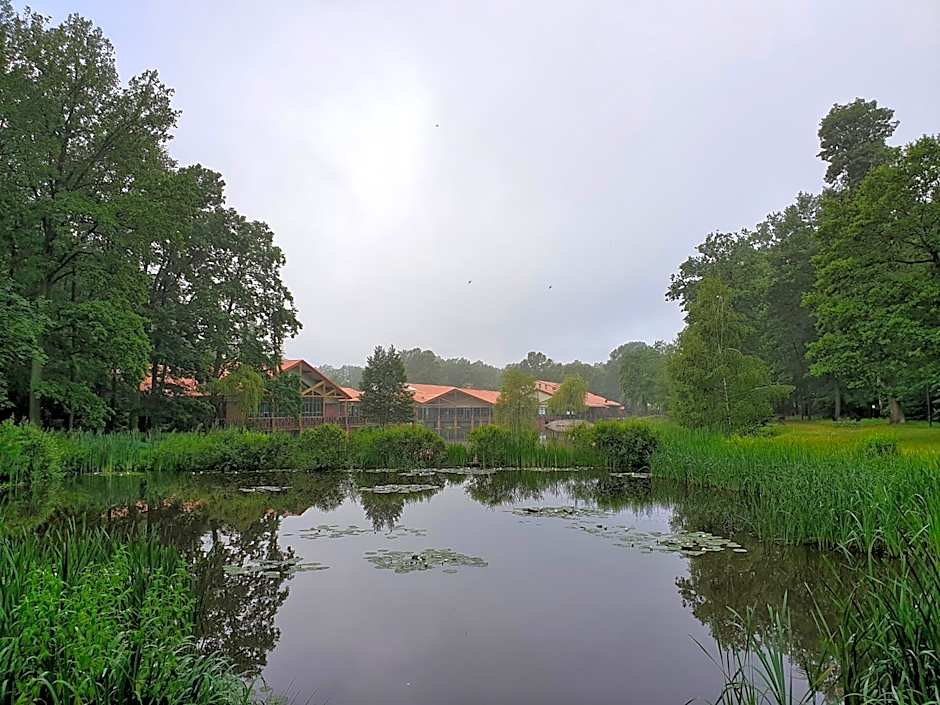 Stacja Nowa Gdynia Bed & Breakfast Aquapark