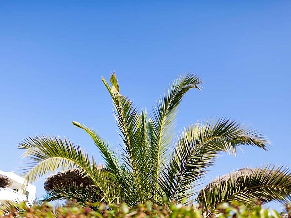 Camelina Suites - Formerly Torrent Bay