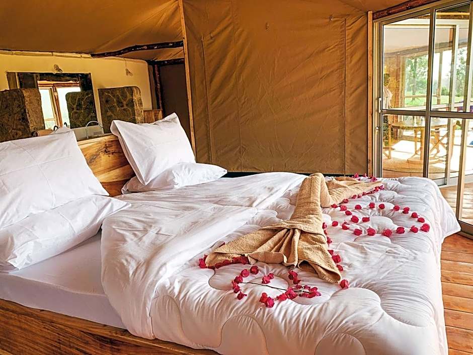 Foresight Eco Lodge & Safari