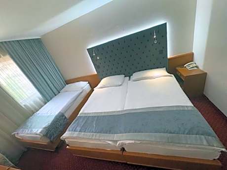 Basic Triple Room