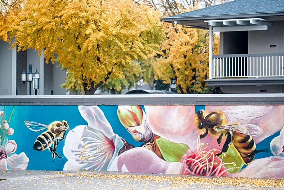 Best Western Town House Lodge