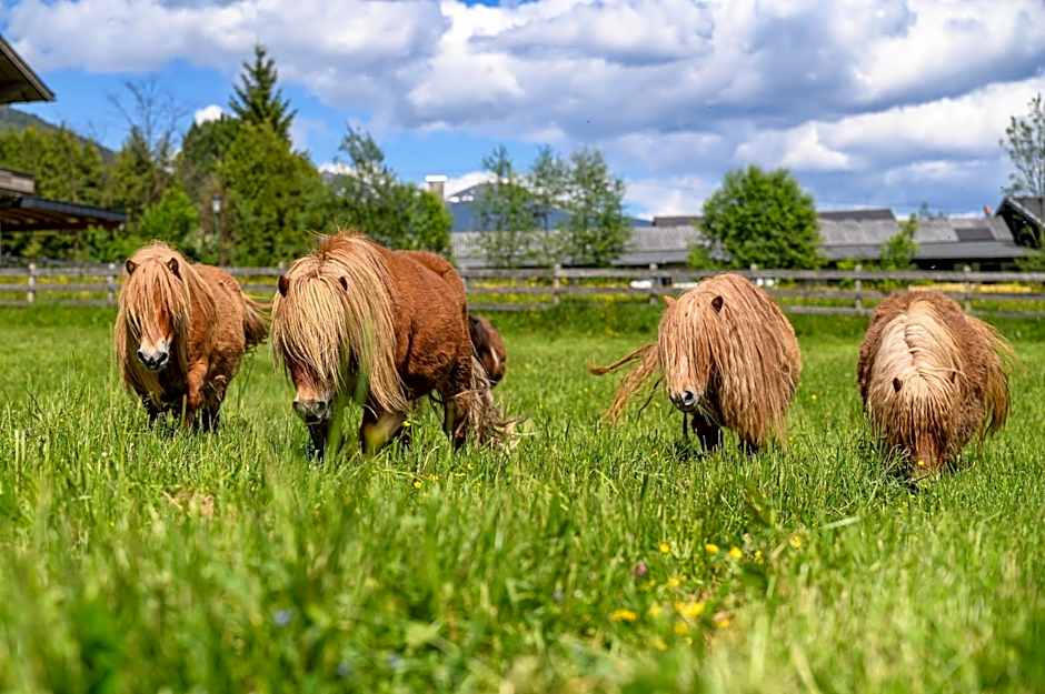 Hotel der Wolkensteinbär