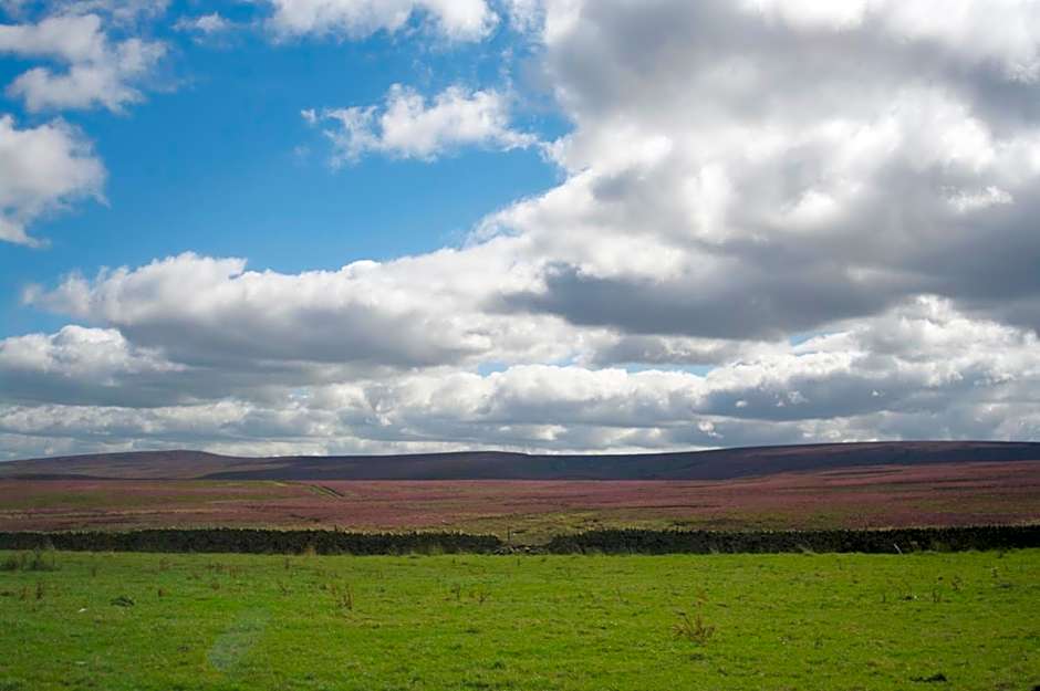 The Dog and Partridge