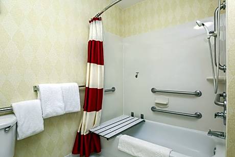 Suite, 1 Bedroom (1 Queen Bed)