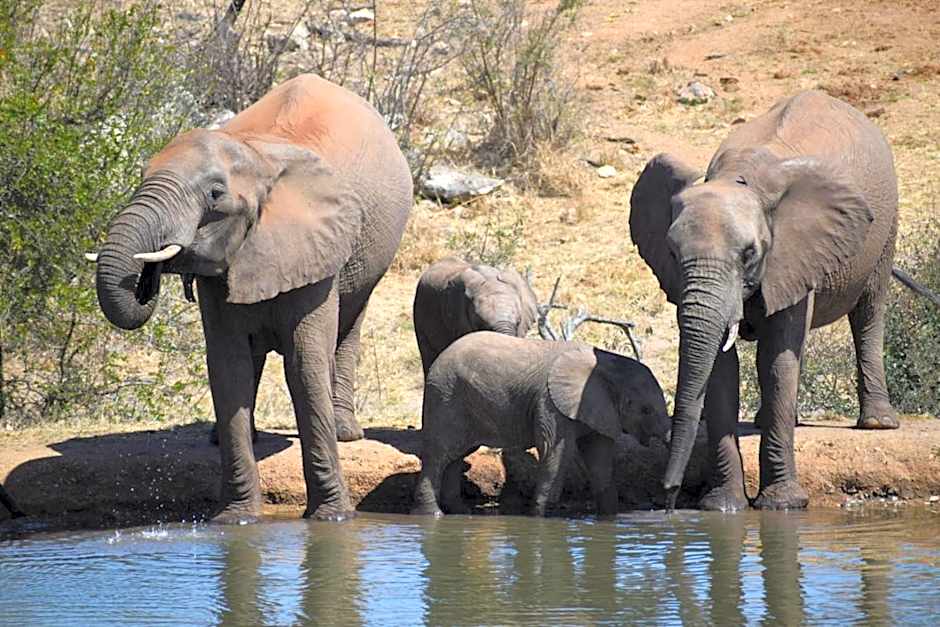 MILIMA Big 5 Safari Lodge