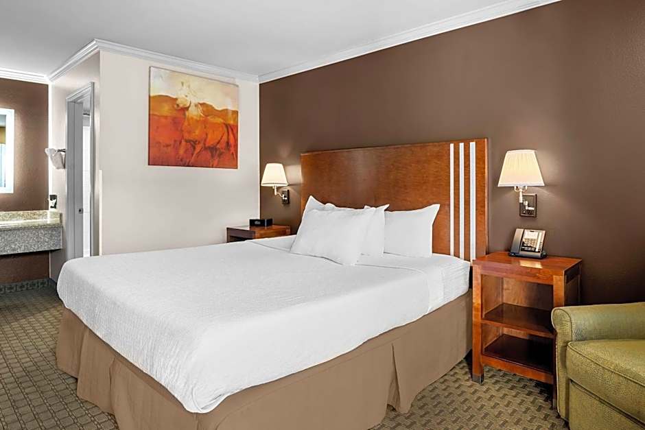 Best Western Skyline Motor Lodge