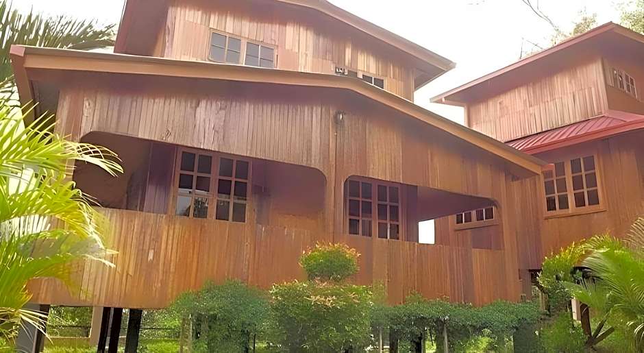 Borneo Tree House