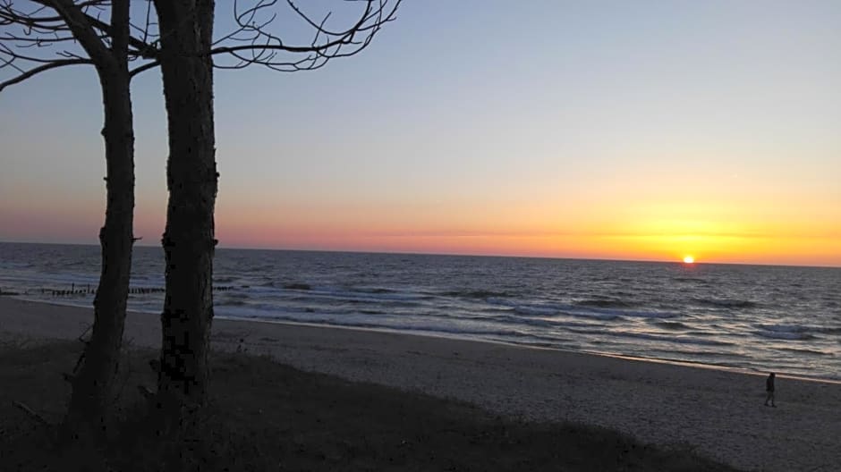 Domki Letniskowe Oaza Wicie