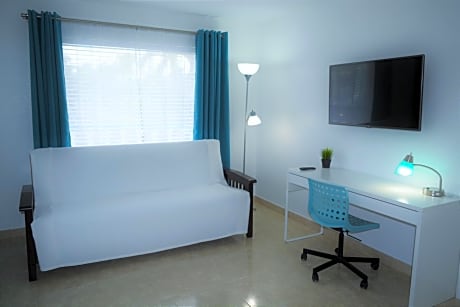 One Bedroom Apartment with sofa bed