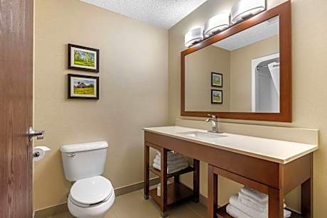 1 King Bed Suite Nonsmoking