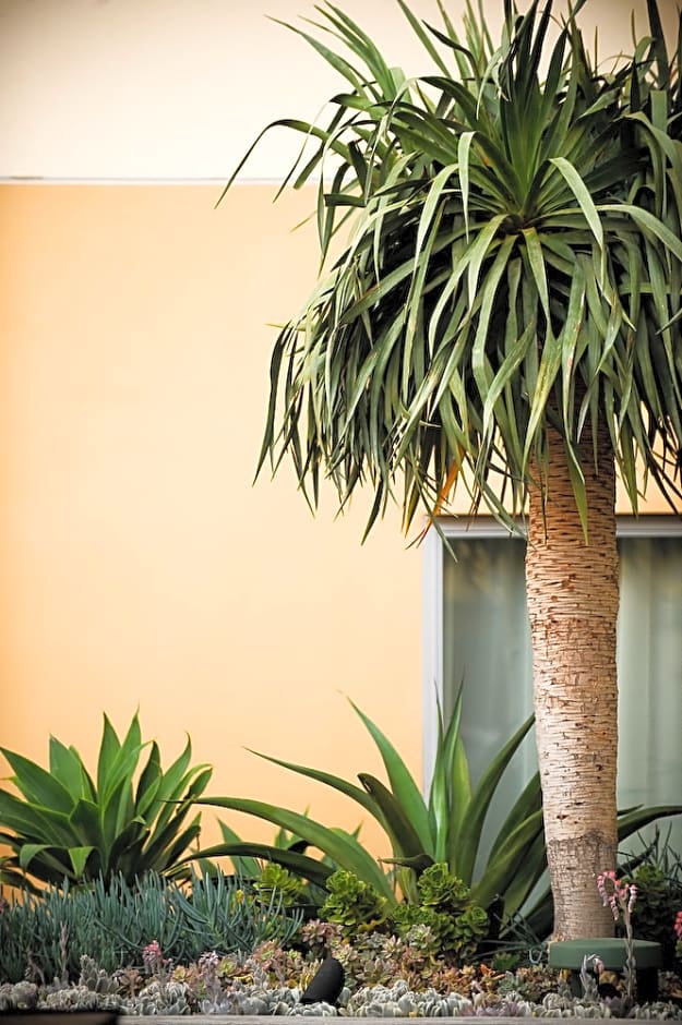 Kimpton Shorebreak Huntington Beach Resort By IHG