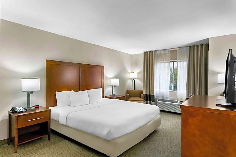 Comfort Inn Red Horse Frederick