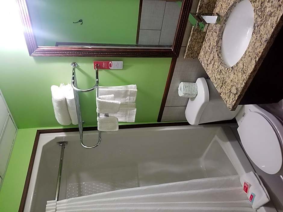 Econo Lodge Cadillac