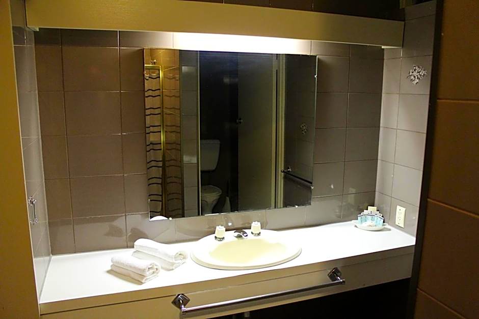 Sandpipers @ Millicent