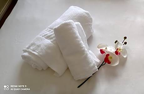 Double Room with Shared Bathroom