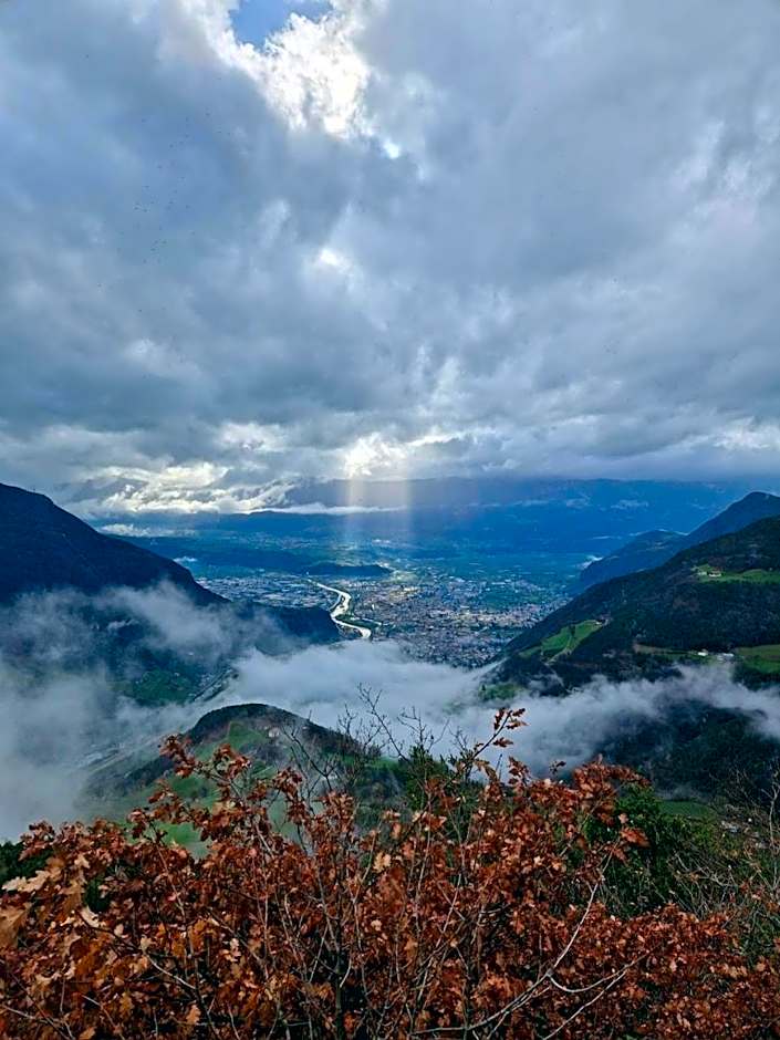 Hotel Am Wolfgrubenersee