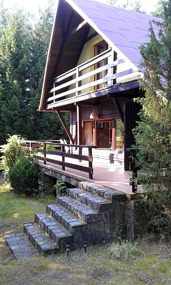 Dom letniskowy POŚRÓD KASZUBSKIEGO LASU