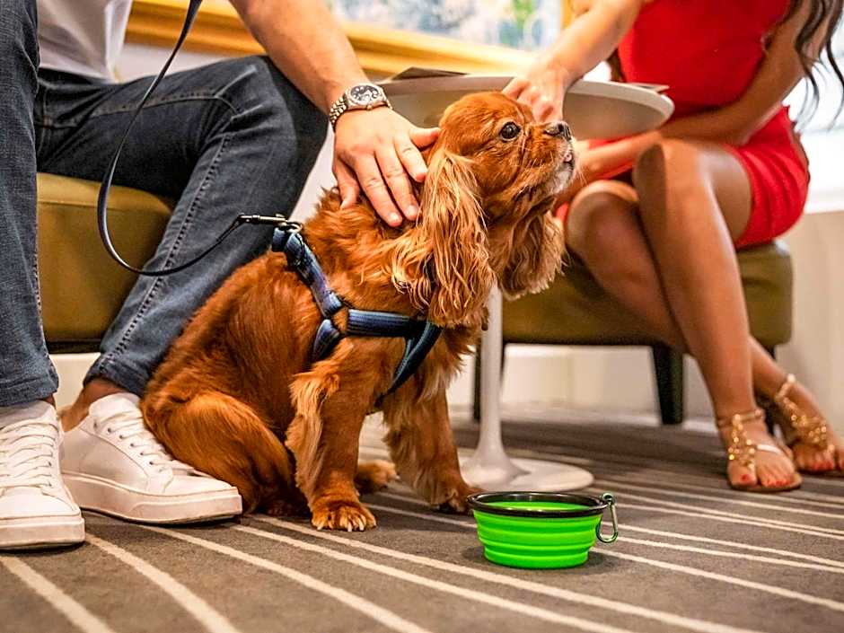 Mercure Napoli Angioino Centro
