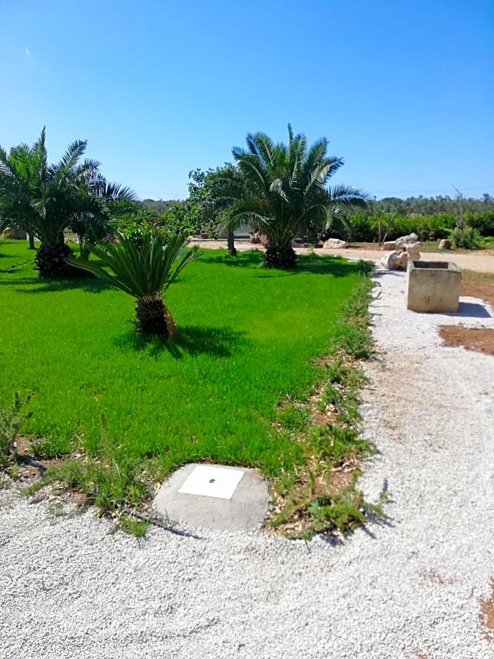 Il giardino dei tramonti