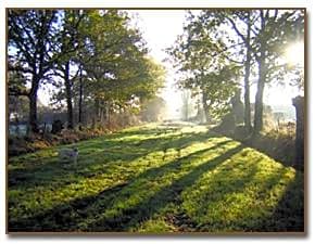 Chambre d'hôte de l'élevage du Lattay
