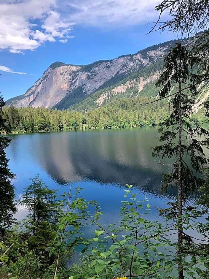 Chalet Tovel - Mountain Lake