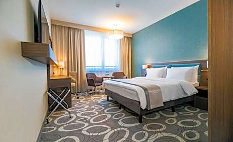 1 Queen Standard Single Sofa Bed