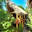Casa AVA