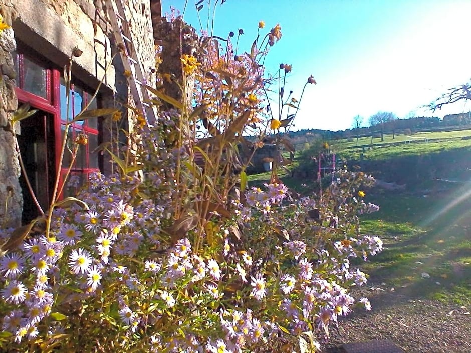 Le Marconnès