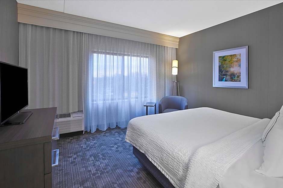 Photo 1 of 3 of 1 Bedroom 1 King Bed with Sofabed Suite