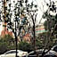 Pod Inn Ningbo Luomeng Universal Paradise Yintai City