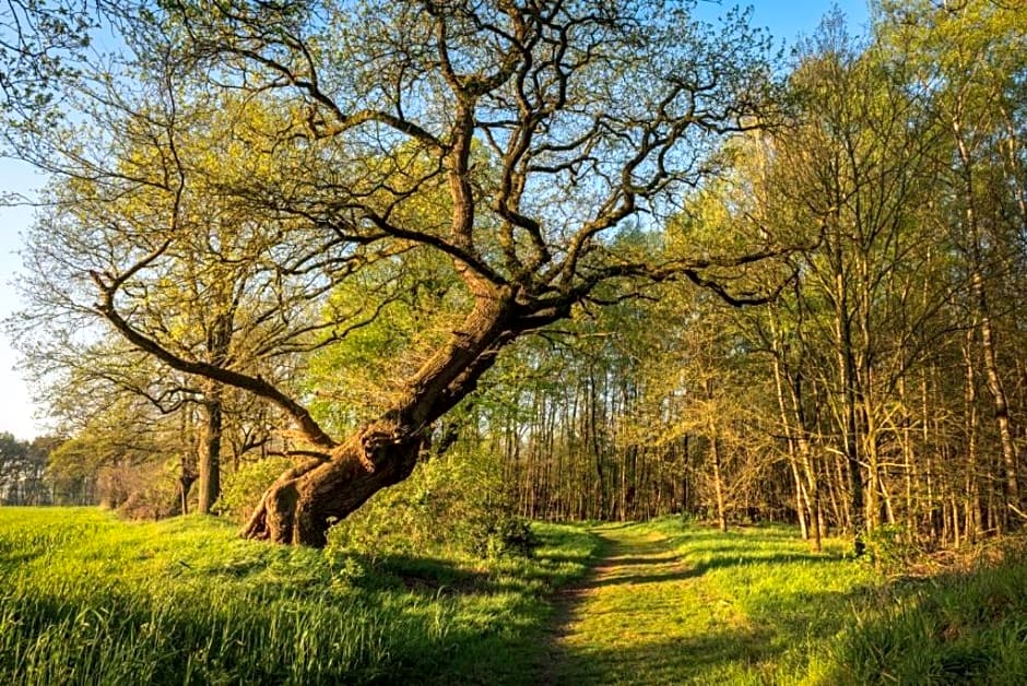 B&B De Scheersehoeve