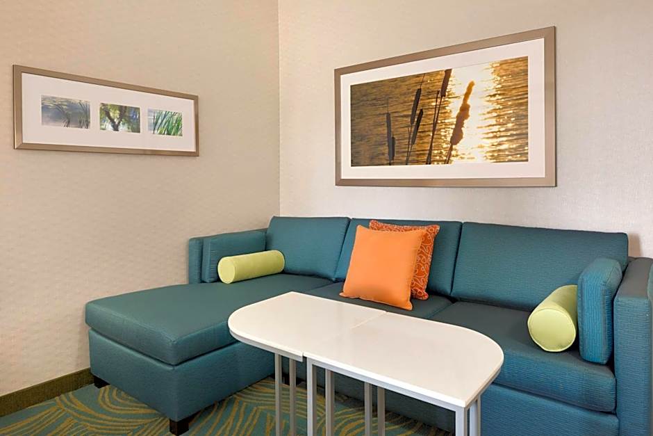 SpringHill Suites by Marriott Tuscaloosa