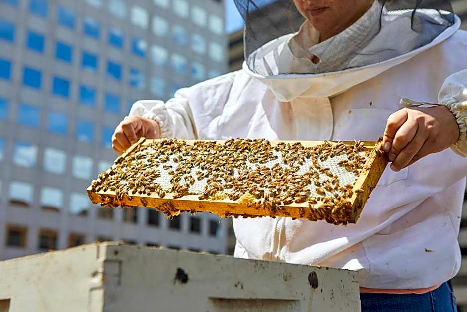 The Brown Palace Hotel and Spa, Autograph Collection