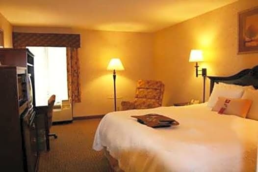 Hampton Inn Dublin