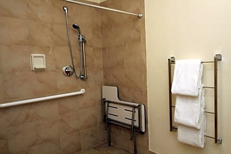 Double Room with Roll-In Shower - Mobility/Hearing Accessible - Non-Smoking