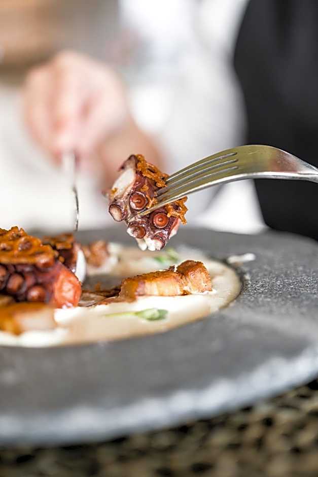 Hotel Palacio de Luces