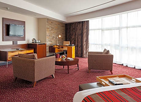 Executive Studio Suite (1 Double Bed)