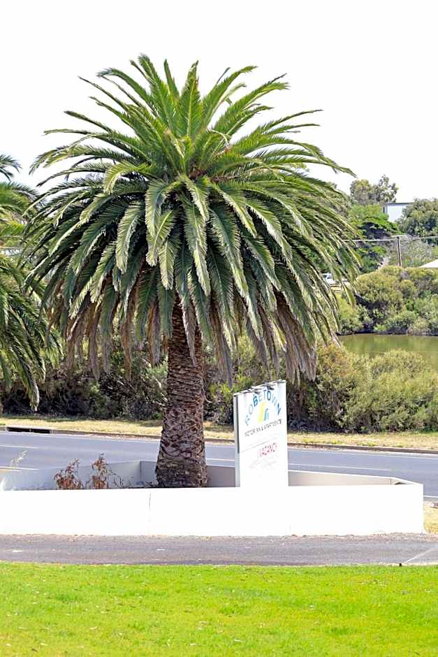 Robetown Motor Inn & Apartments